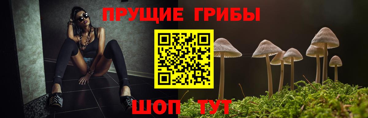 Псилоцибиновые грибы GOLDEN TEACHER  Вход с VPN  Галлюциногенные грибы мухоморы  Десногорск 